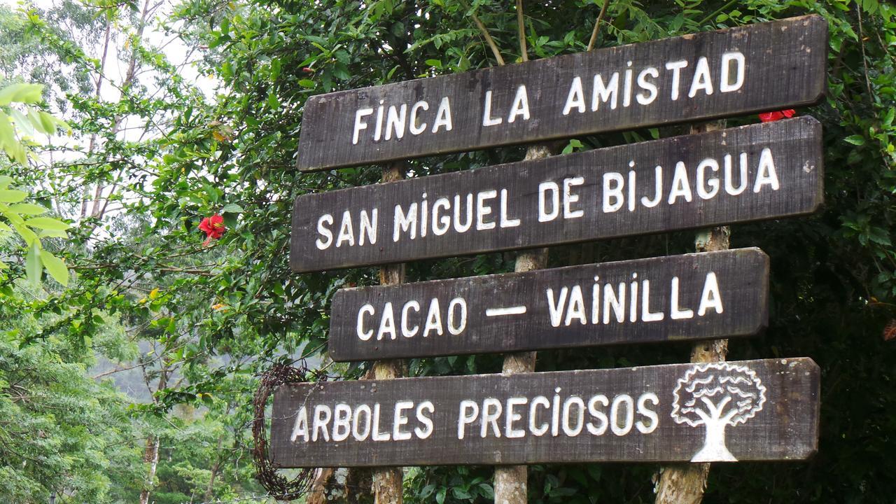 Finca Amistad Cacao Lodge Bijagua Exterior photo