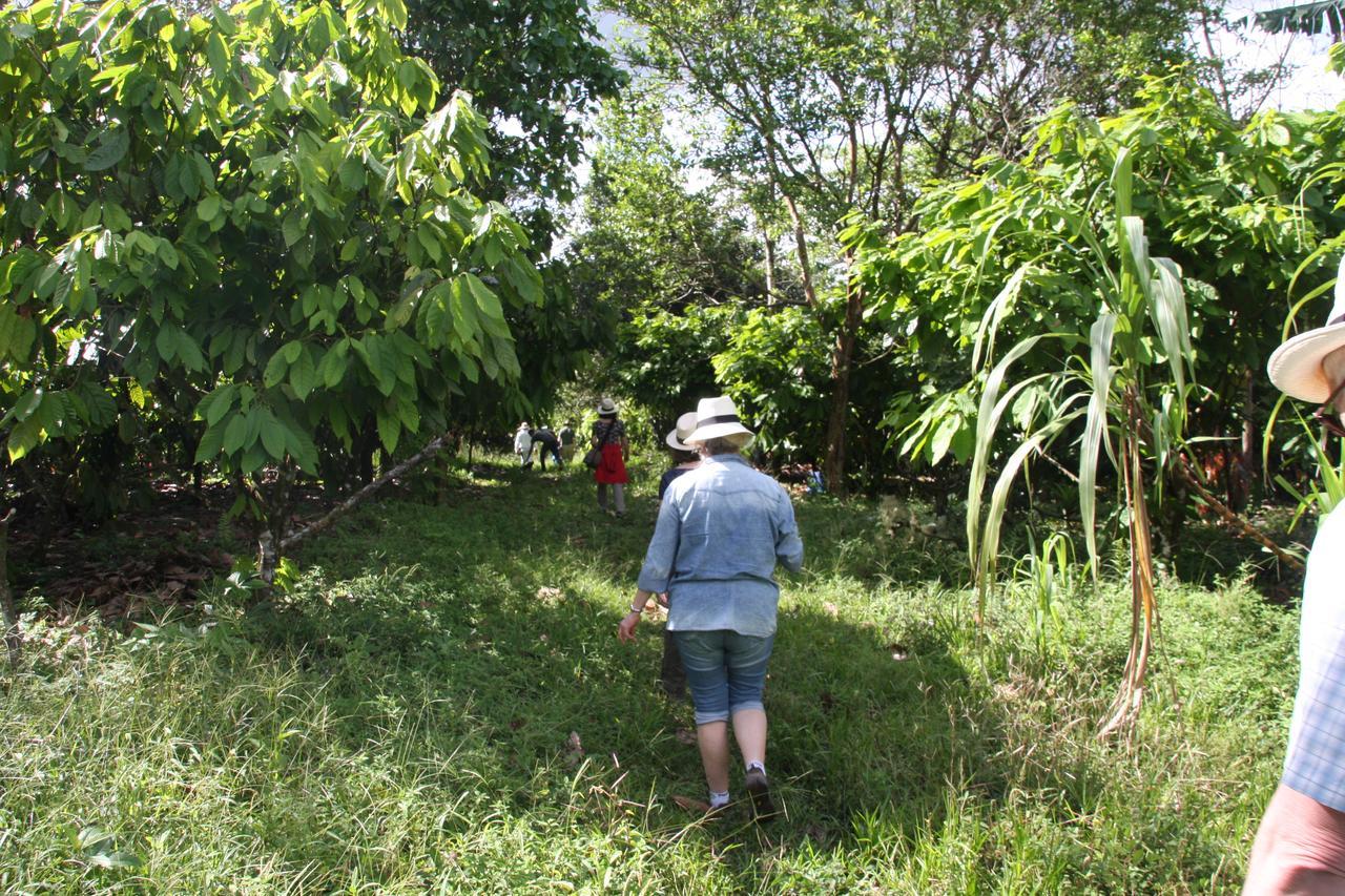 Finca Amistad Cacao Lodge Bijagua Exterior photo